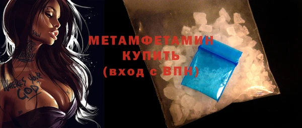 индика Каменногорск