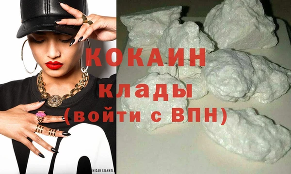 молекула духа Белокуриха