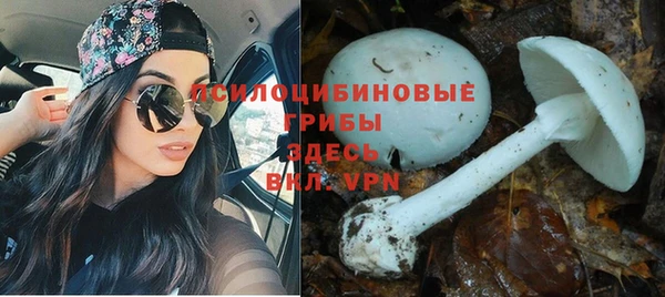 молекула духа Белокуриха