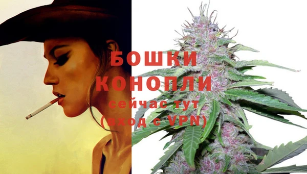 бошки Беломорск