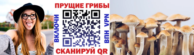 Галлюциногенные грибы Magic Shrooms  shop какой сайт  Великий Устюг 